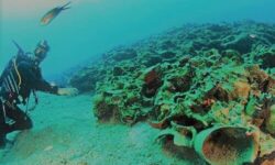 Underwater diving Minoan Shipwreck Pseira Crete